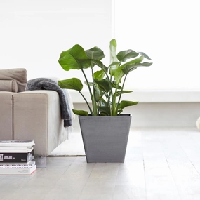 Ecopots Rotterdam Grey hanging garden planters for small spaces