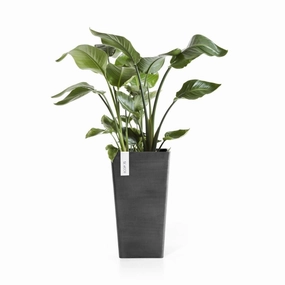 Ecopots Rotterdam Mid High 56 Dark Grey hanging garden planters for small spaces