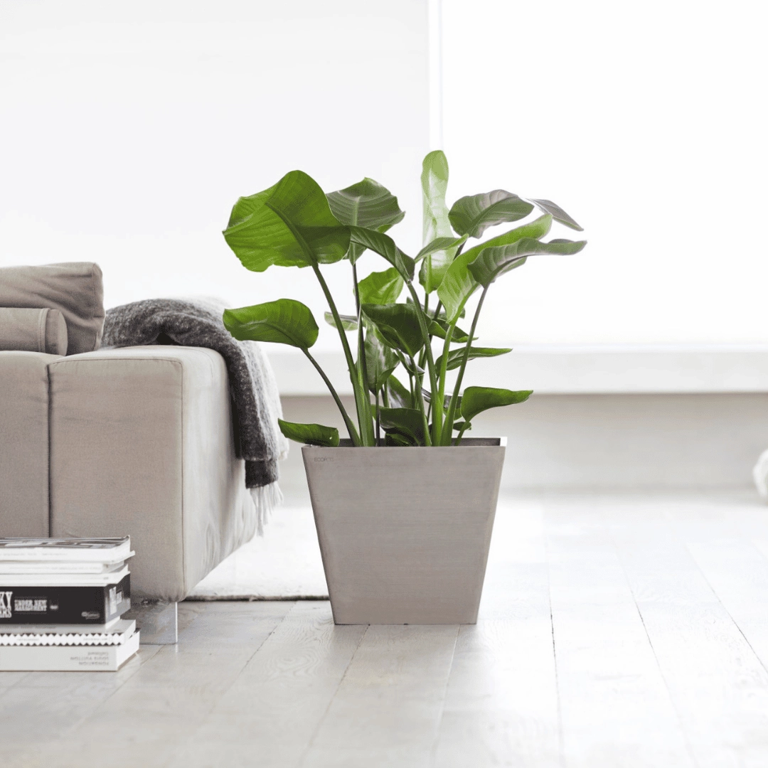 Ecopots Rotterdam Taupe hanging garden planters for small spaces