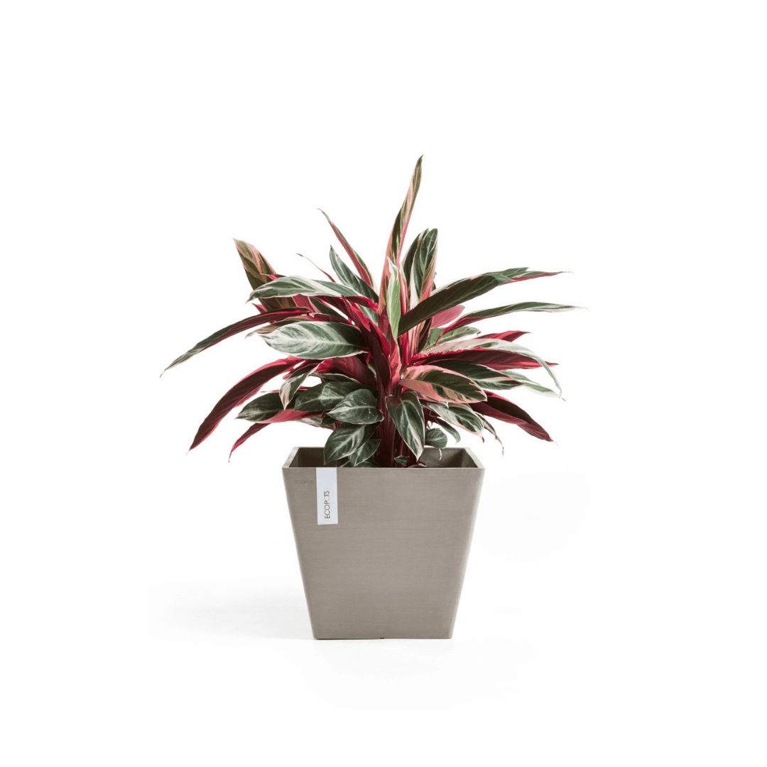 Ecopots Rotterdam Taupe
