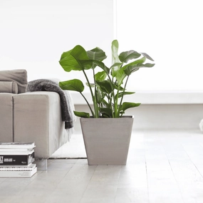 Ecopots Rotterdam Taupe hanging garden planters for small spaces