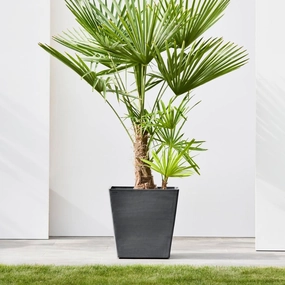 Ecopots Rotterdam Wheels 50 Dark Grey hanging garden planters for small spaces