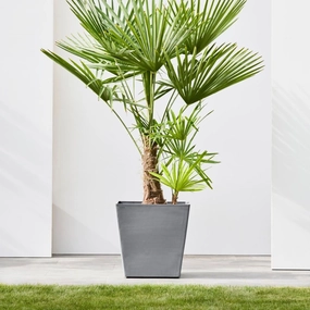 Ecopots Rotterdam Wheels 50 Grey hanging garden planters for small spaces