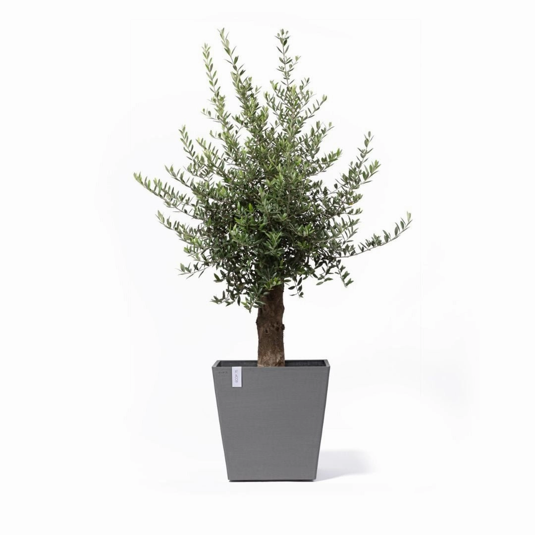 Ecopots Rotterdam Wheels 50 Grey