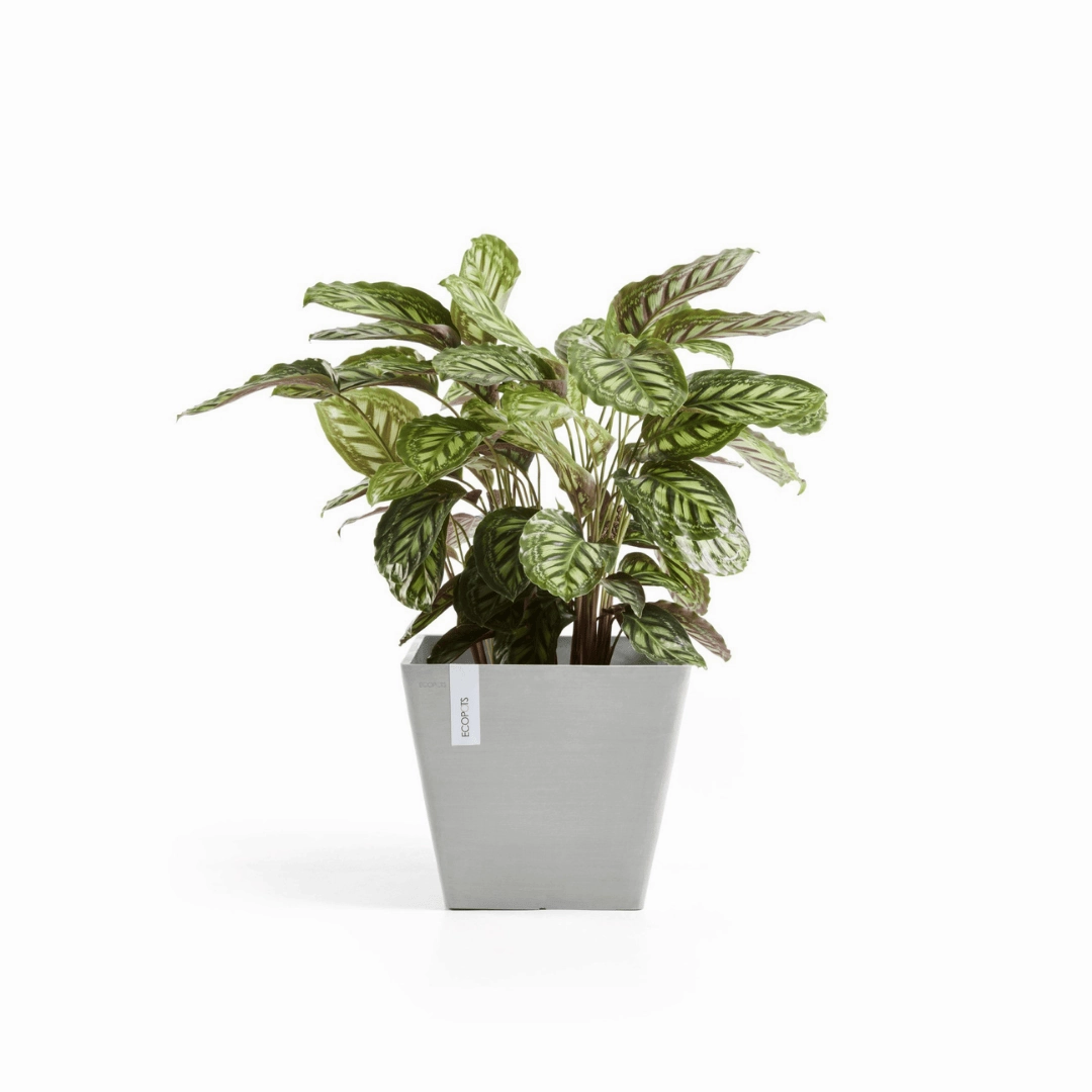 Ecopots Rotterdam White Grey