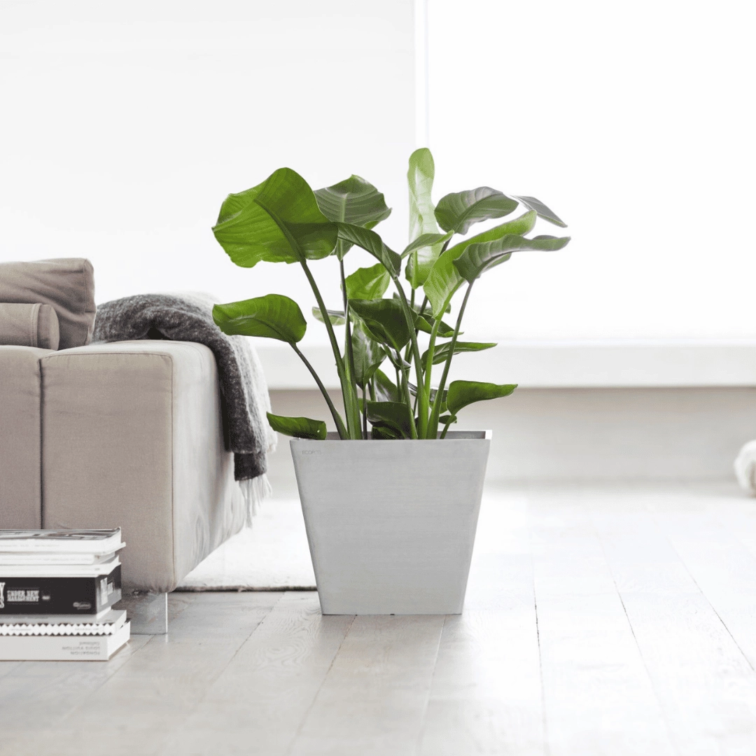 Ecopots Rotterdam White Grey hanging garden planters for small spaces