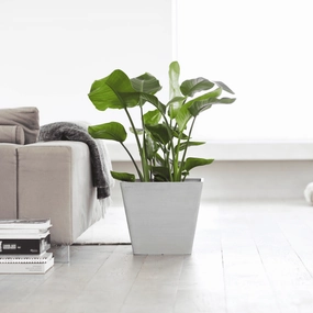 Ecopots Rotterdam White Grey hanging garden planters for small spaces