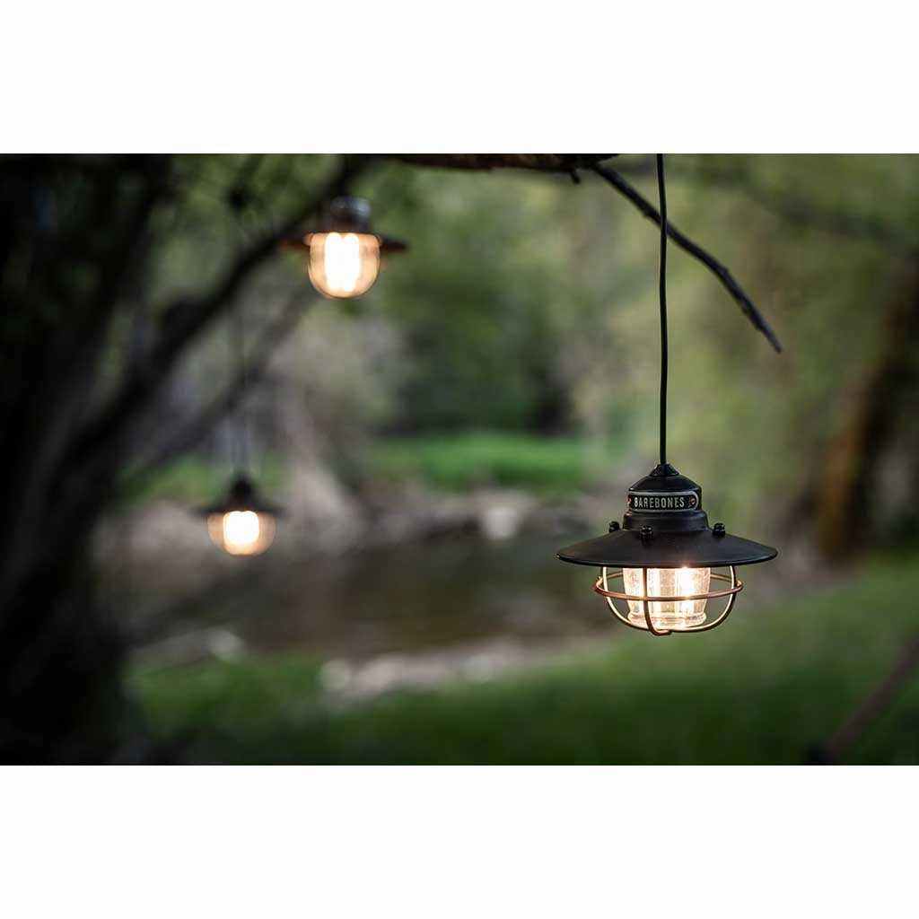 Edison String Lights