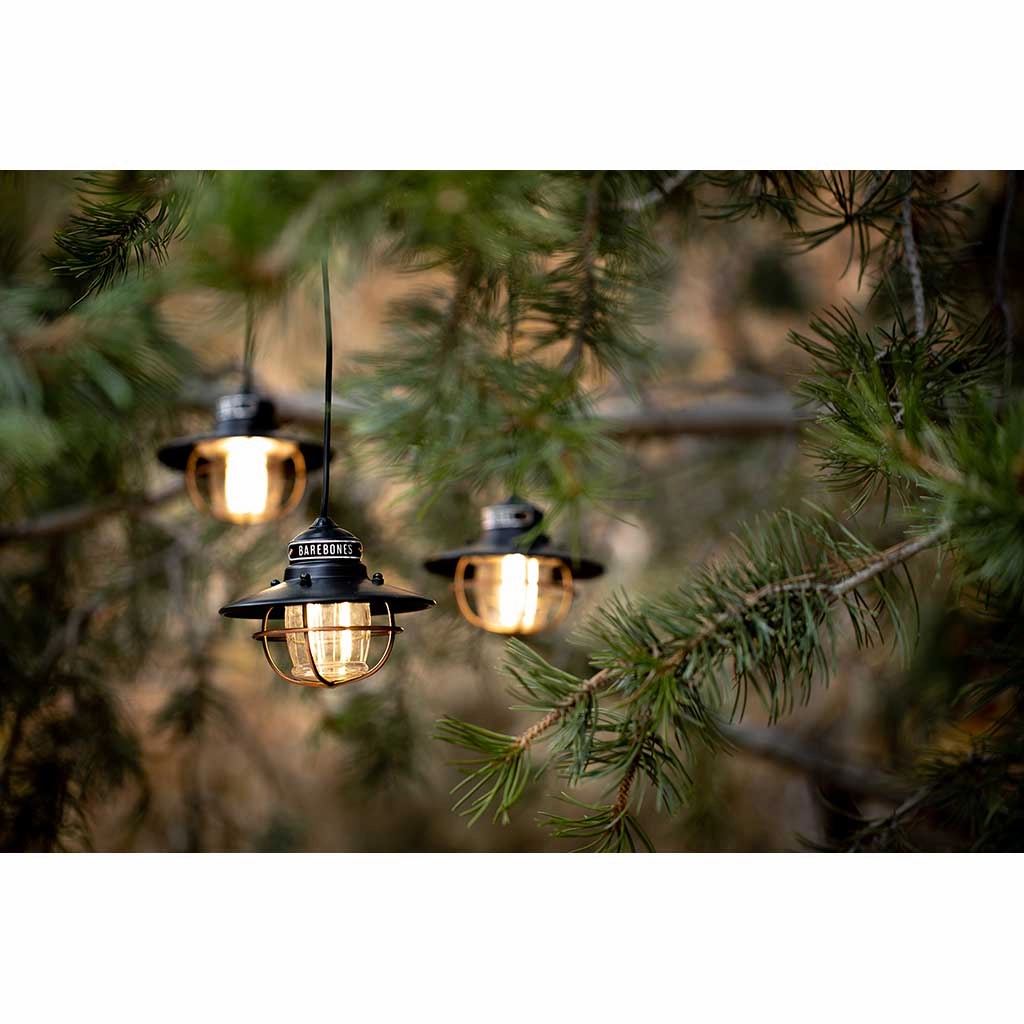 Edison String Lights
