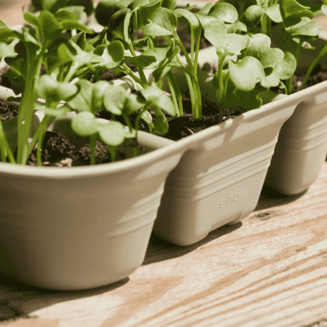 Elho Green Basics Seed Tray Stone Green