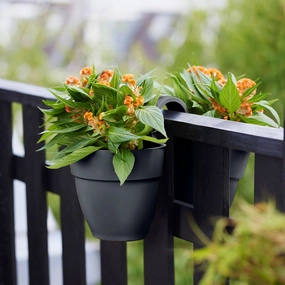 Elho Vibia Campana Flower Twin - Anthracite hanging garden planters for small spaces