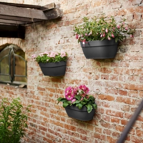 Elho Vibia Campana Wall Basket Anthracite hanging garden planters for small spaces