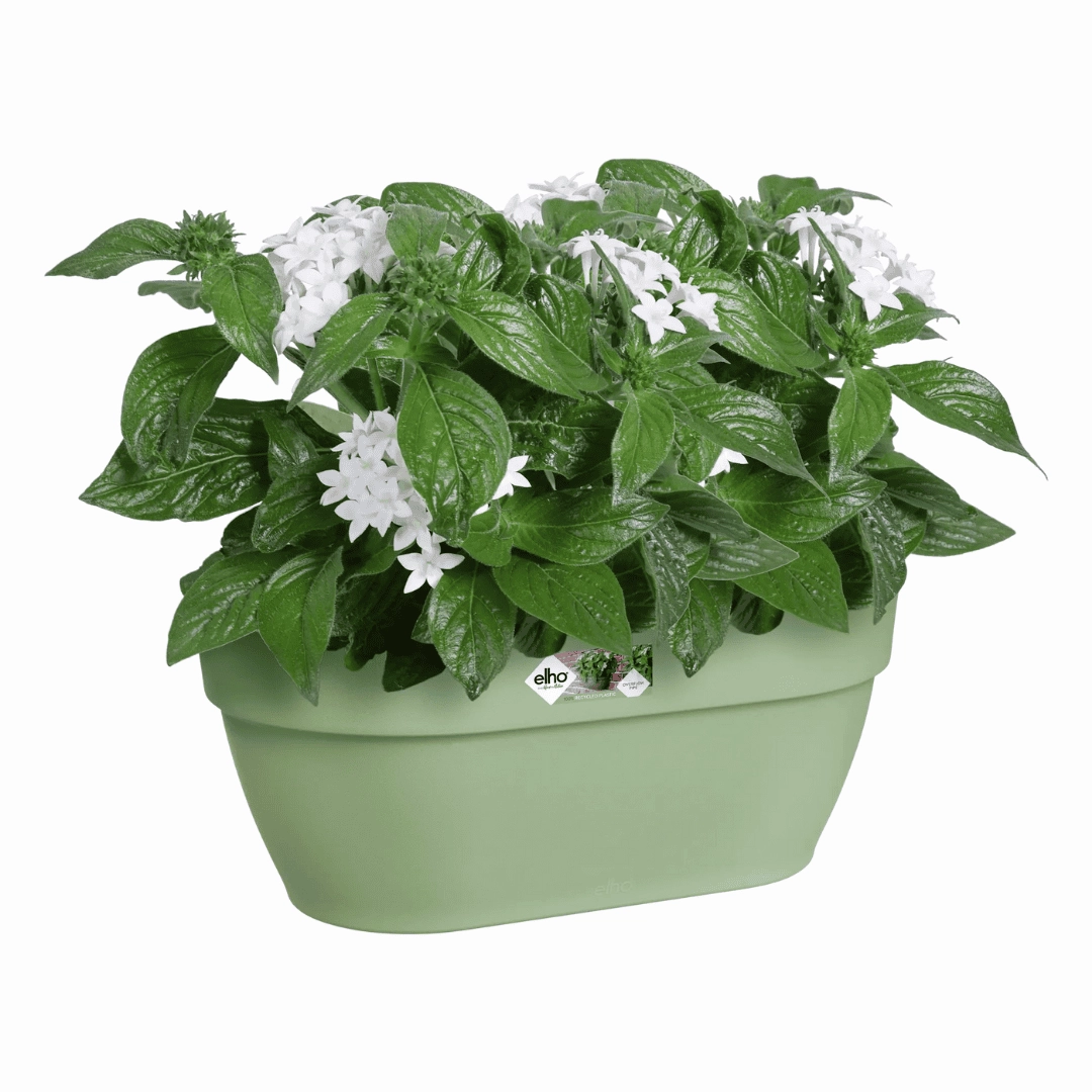 Elho Vibia Campana Wall Basket Pistachio Green