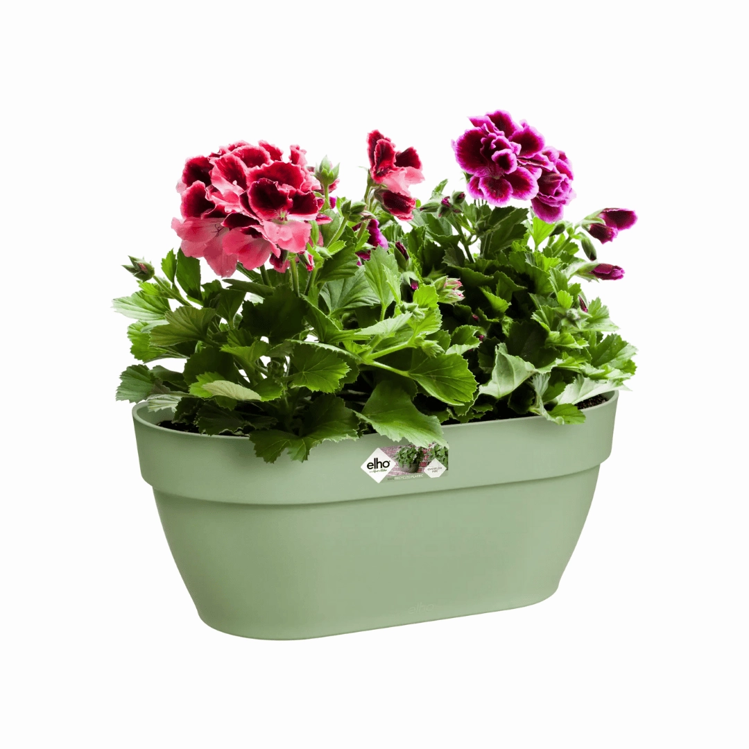 Elho Vibia Campana Wall Basket Pistachio Green