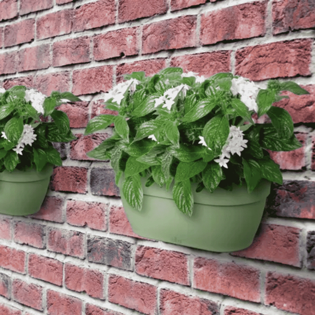 Elho Vibia Campana Wall Basket Pistachio Green