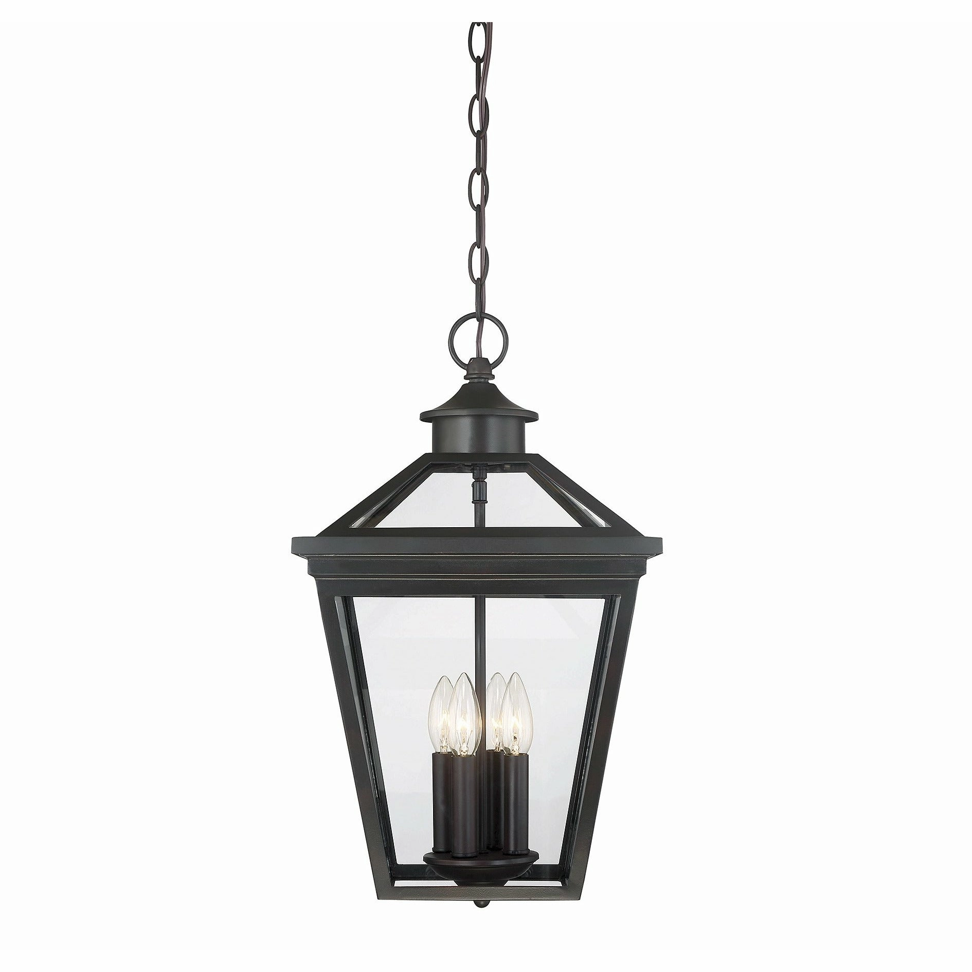 Ellijay Outdoor Pendant