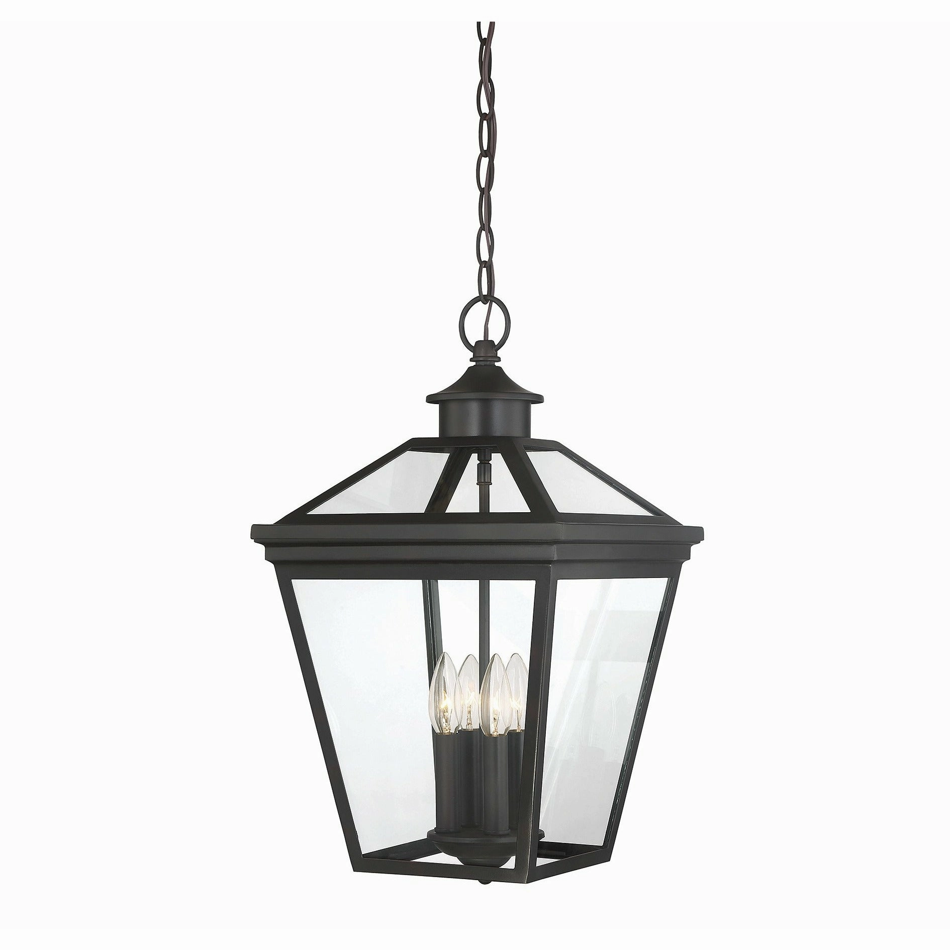 Ellijay Outdoor Pendant