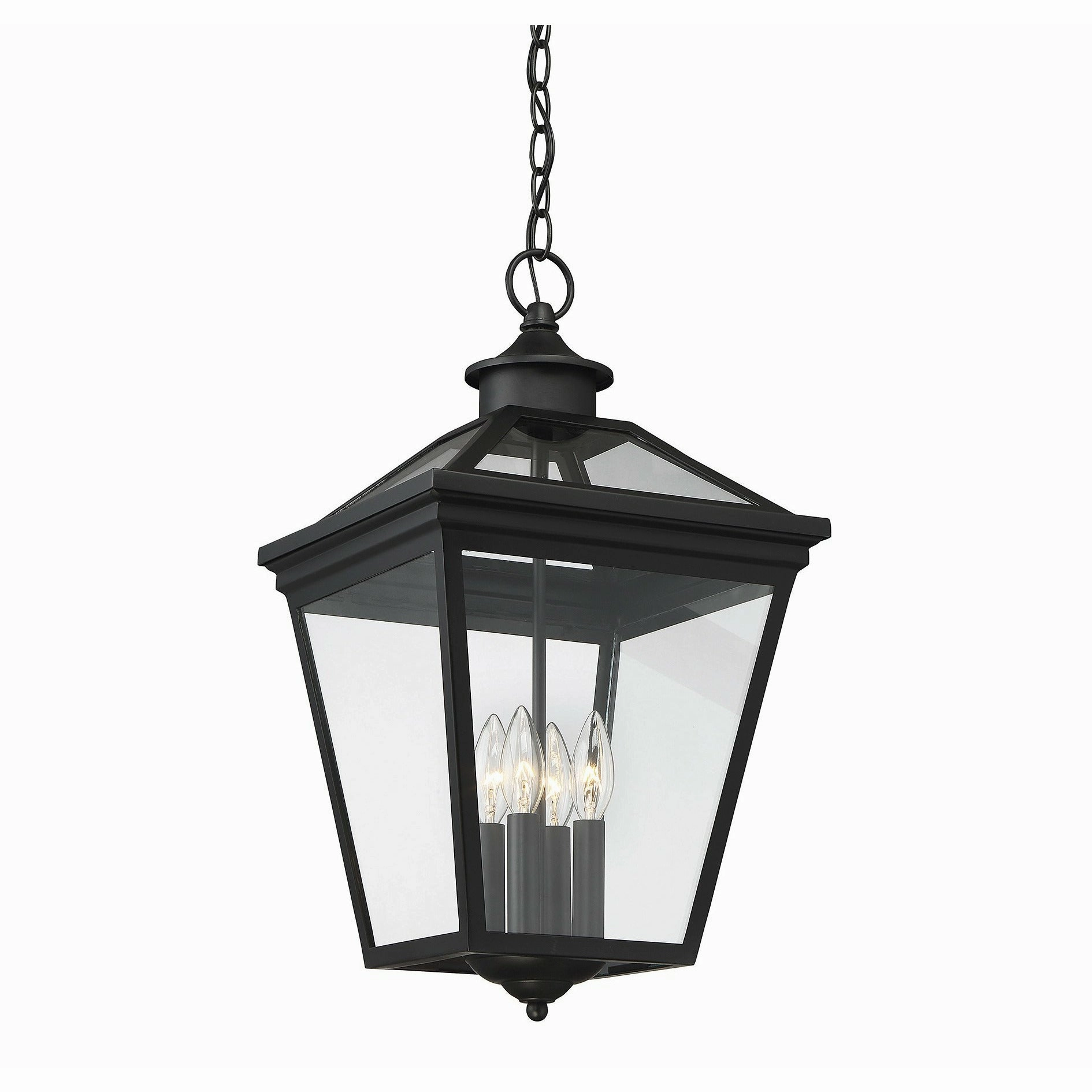 Ellijay Outdoor Pendant
