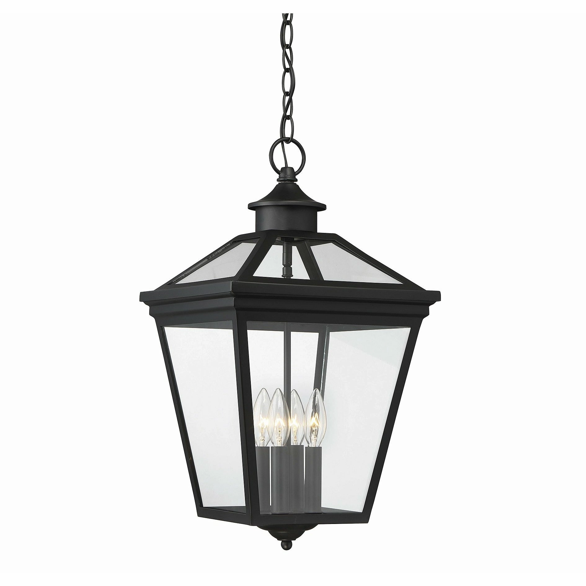 Ellijay Outdoor Pendant