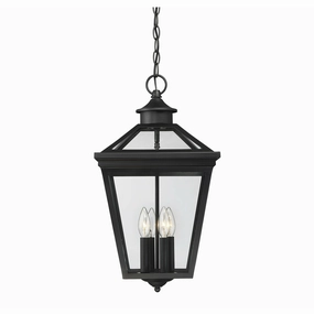 Ellijay Outdoor PendantWeatherproof outdoor lighting