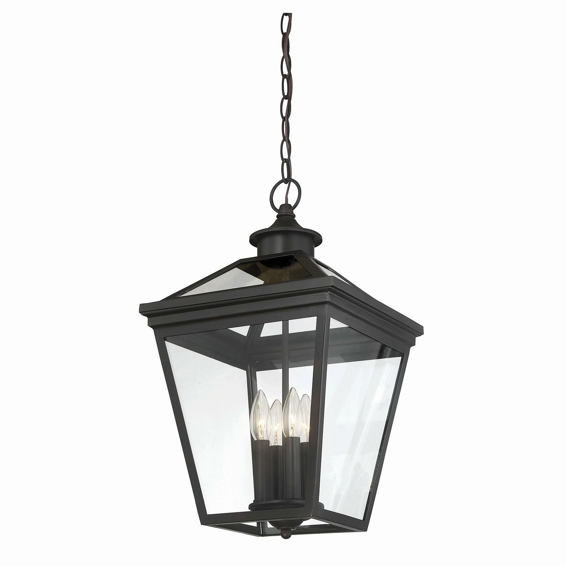 Ellijay Outdoor Pendant