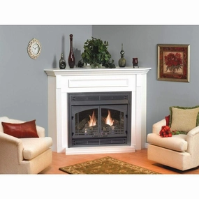 Empire White Mountain Hearth Vail Vent 36-inch Vent-Free Fireplace VFP36BPstone-look outdoor patio fireplace