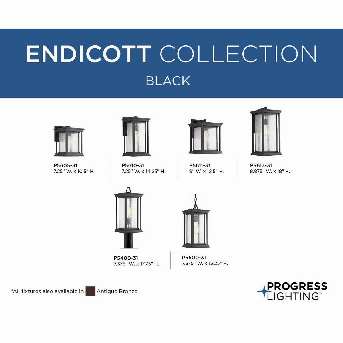 Endicott One Light Wall Lantern Black