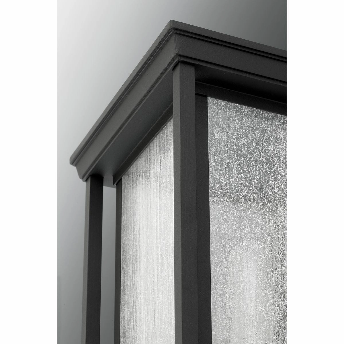 Endicott One Light Wall Lantern Black