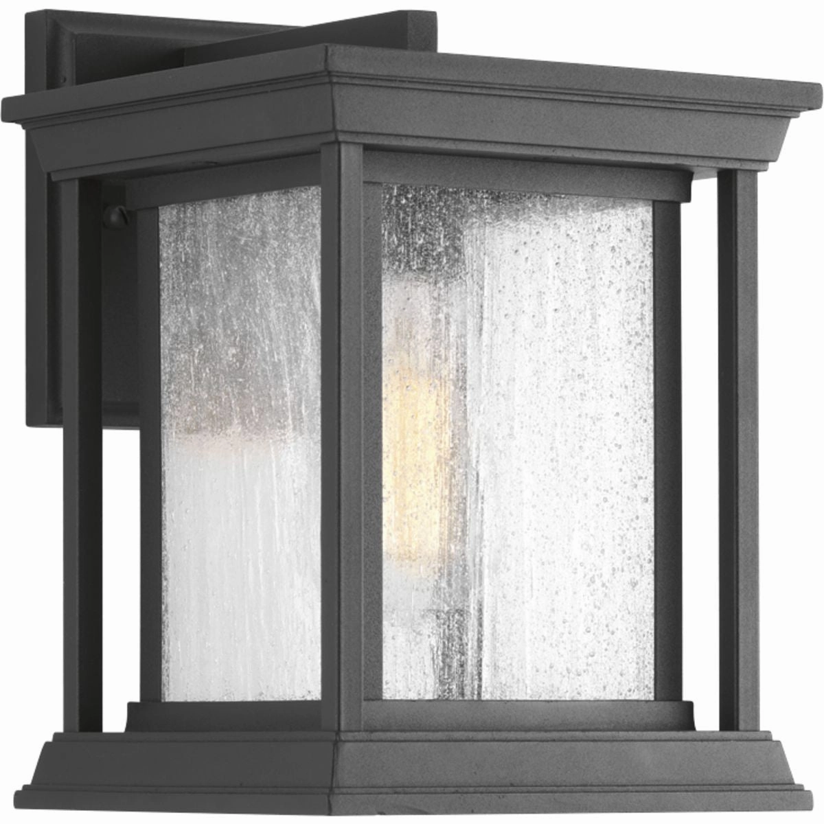 Endicott One Light Wall Lantern Black
