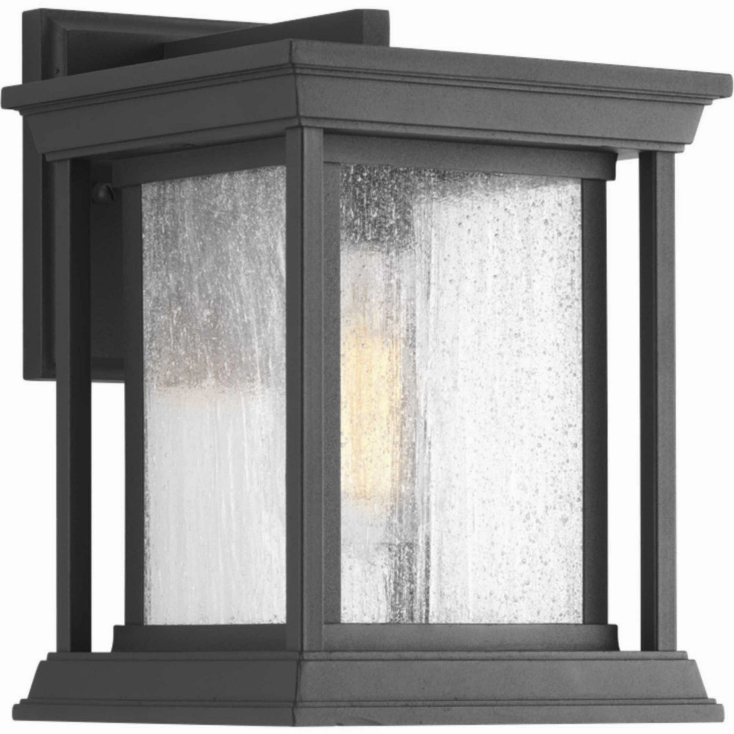 Endicott One Light Wall Lantern Black