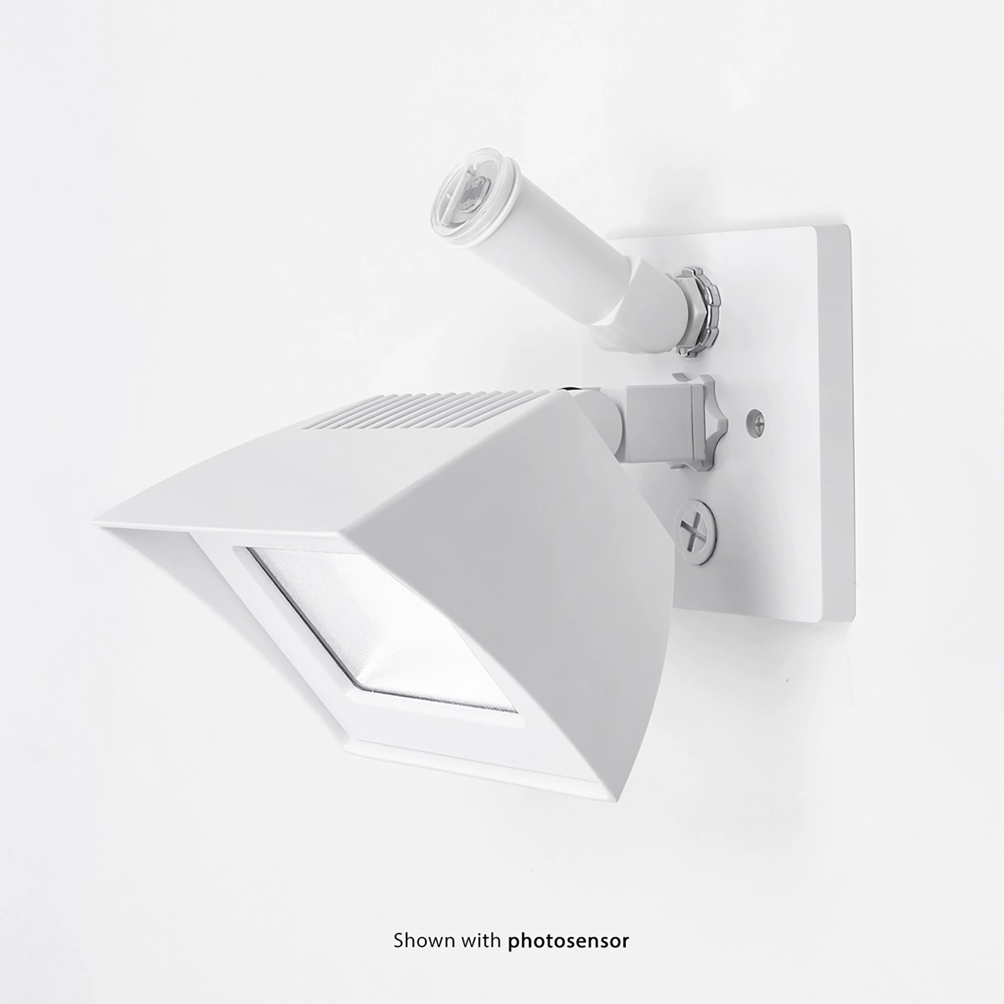 Endurance Flood Energy Star LED Flood Light