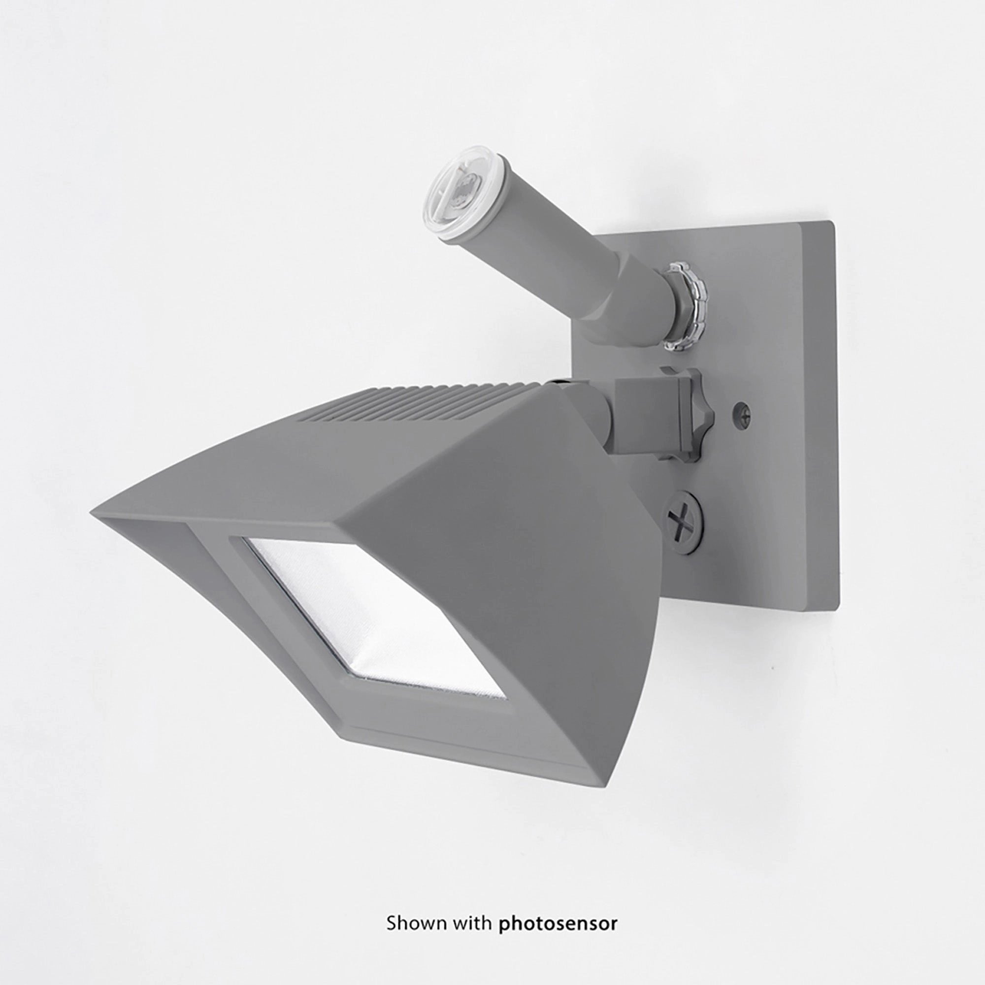 Endurance Flood Energy Star LED Flood Light
