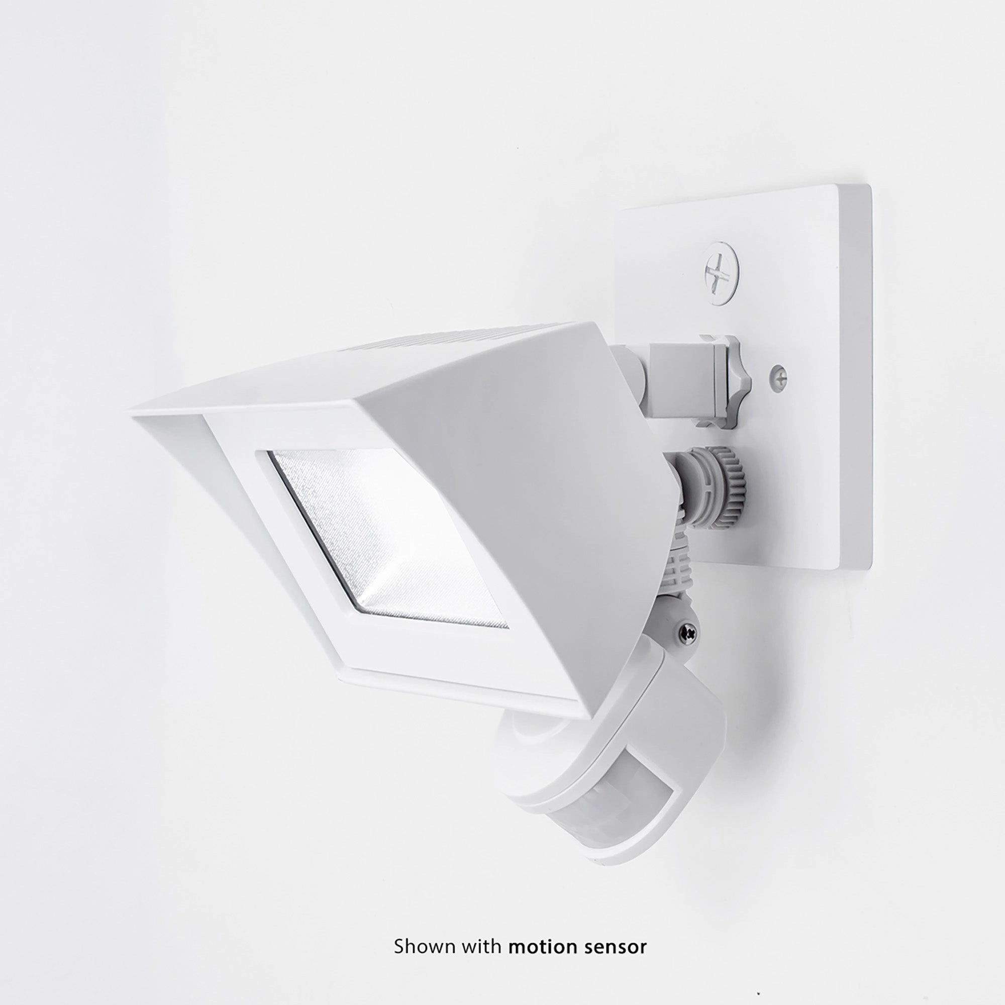 Endurance Flood Energy Star LED Flood Light
