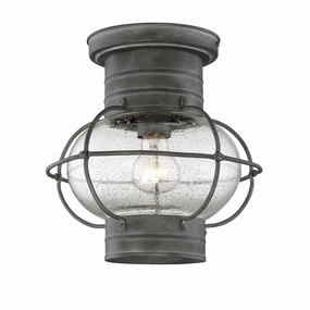 Enfield Outdoor Ceiling LightWeatherproof outdoor lighting