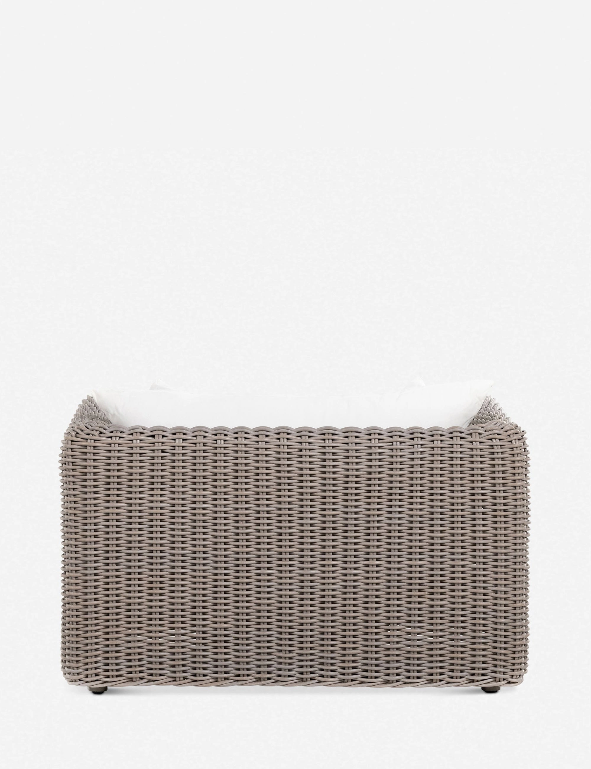 Eugenie Indoor / Outdoor Accent Chair
