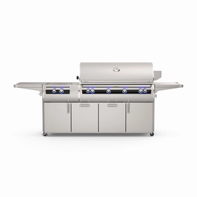 Fire Magic Echelon E1060s Portable Grill Analog Thermometer and Power Burner stainless steel BBQ grill with side table