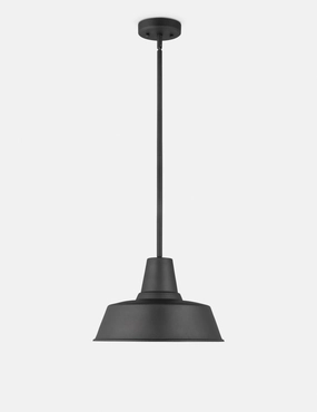 Fisher Outdoor Pendant LightWeatherproof outdoor chandelier