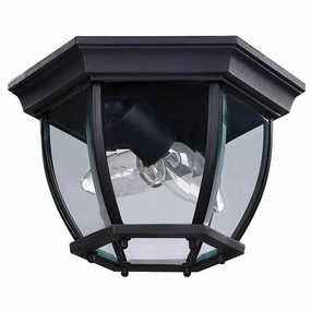 Foye Outdoor Ceiling LightWeatherproof outdoor lighting