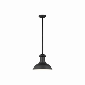 Fredricksburg 1-Light Outdoor Pendant (with Bulb)Weatherproof outdoor lighting