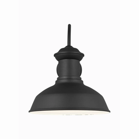 Fredricksburg Large 1-Light Outdoor Wall LightWeatherproof outdoor lighting