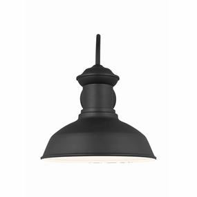 Fredricksburg Large 1-Light Outdoor Wall Light (with Bulb)Weatherproof outdoor lighting