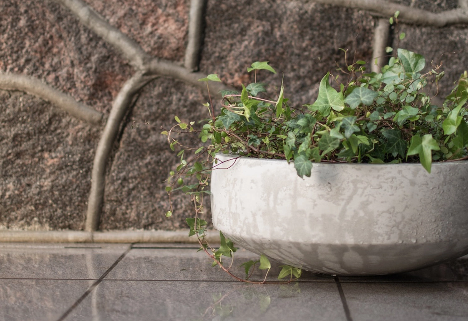Garden Bowl Planter