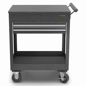 Gladiator Silver Tread 2-Drawer Utility Cart - GAMT28KDFG large capacity outdoor storage box