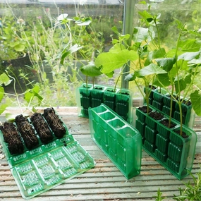 Gro-Sure Visiroot 4 Cell Deep premium quality garden tool set with case
