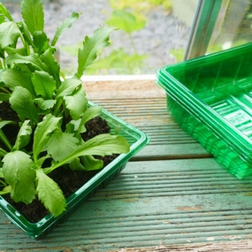 Gro-Sure Visiroot Seed Tray 4pack premium quality garden tool set with case