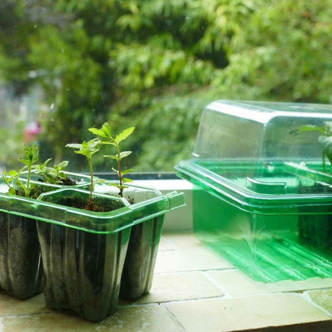 Gro-Sure Visiroot Windowsill Propagator