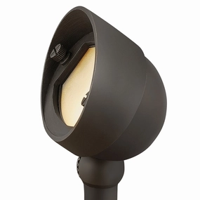 Hardy Island Accent Spot Light LED Wall Wash Brass Satin BlackColor changing landscape spotlights