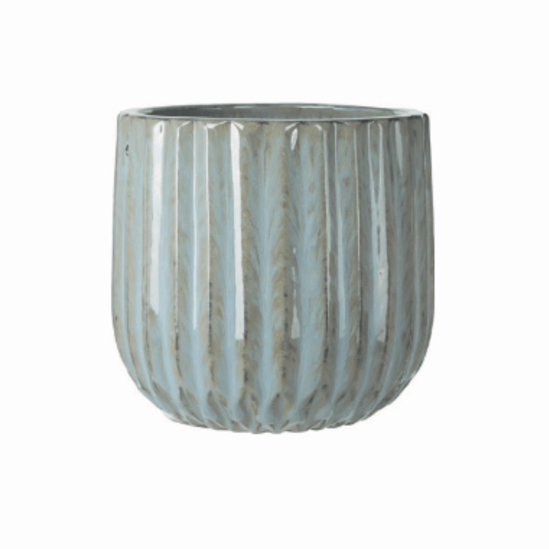 Harley Pot Grey