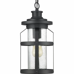 Haslett Outdoor Ceiling LightWeatherproof outdoor lighting