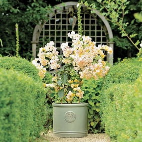 Heritage Cylinder Pot Green hanging garden planters for small spaces